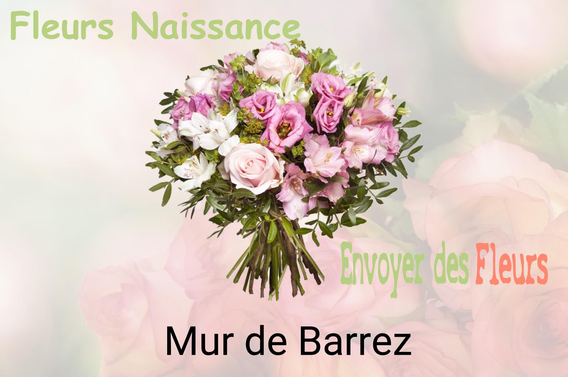 Bouquet de fleurs de naissance livré à Mur-de-Barrez